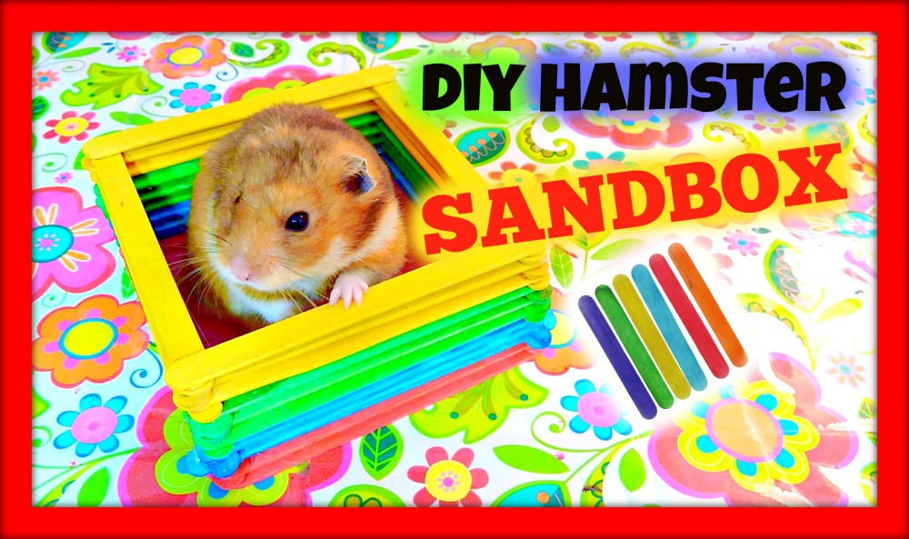 Làm cũi dễ thương cho hamster bằng que đè lưỡi 26